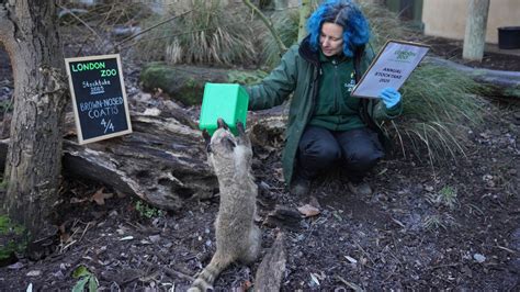 Kilmarnock woman features in Zoo magazine